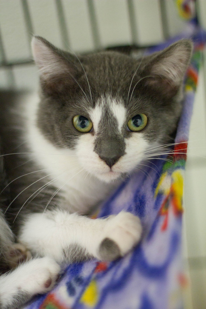 "Do you have a headache? I'll take that away." Thatcher.