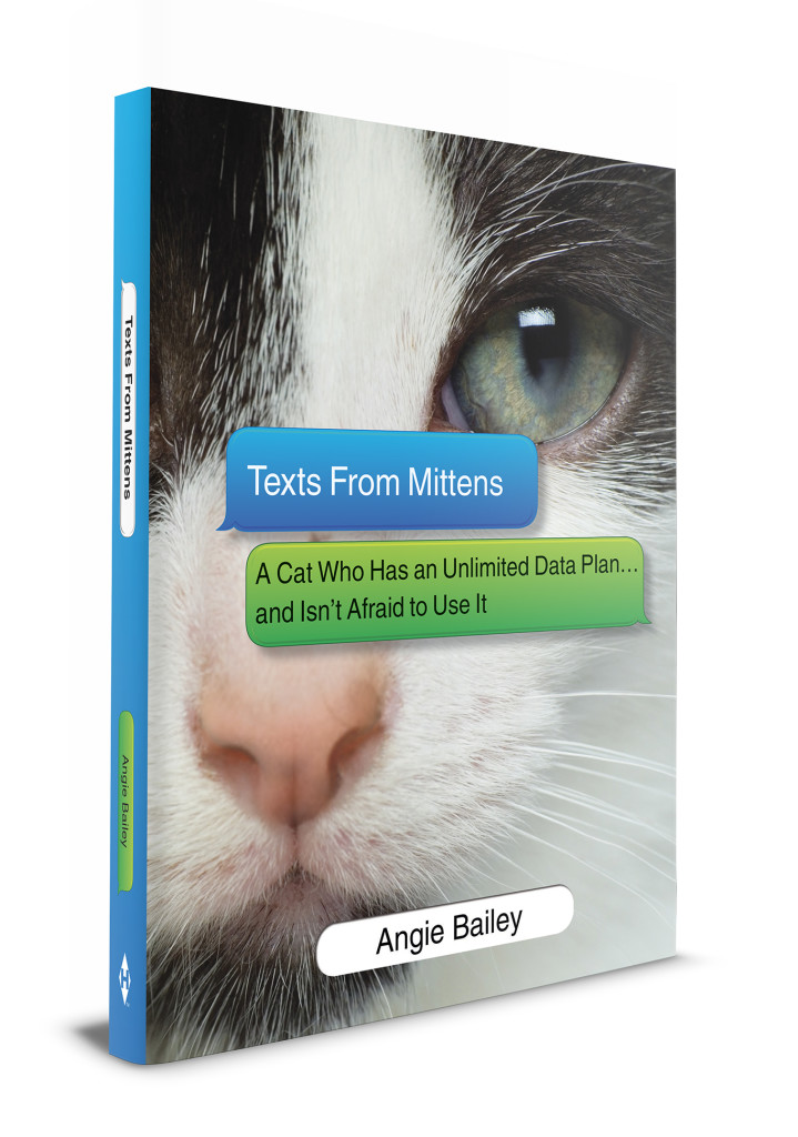 text_from_mittens_3D