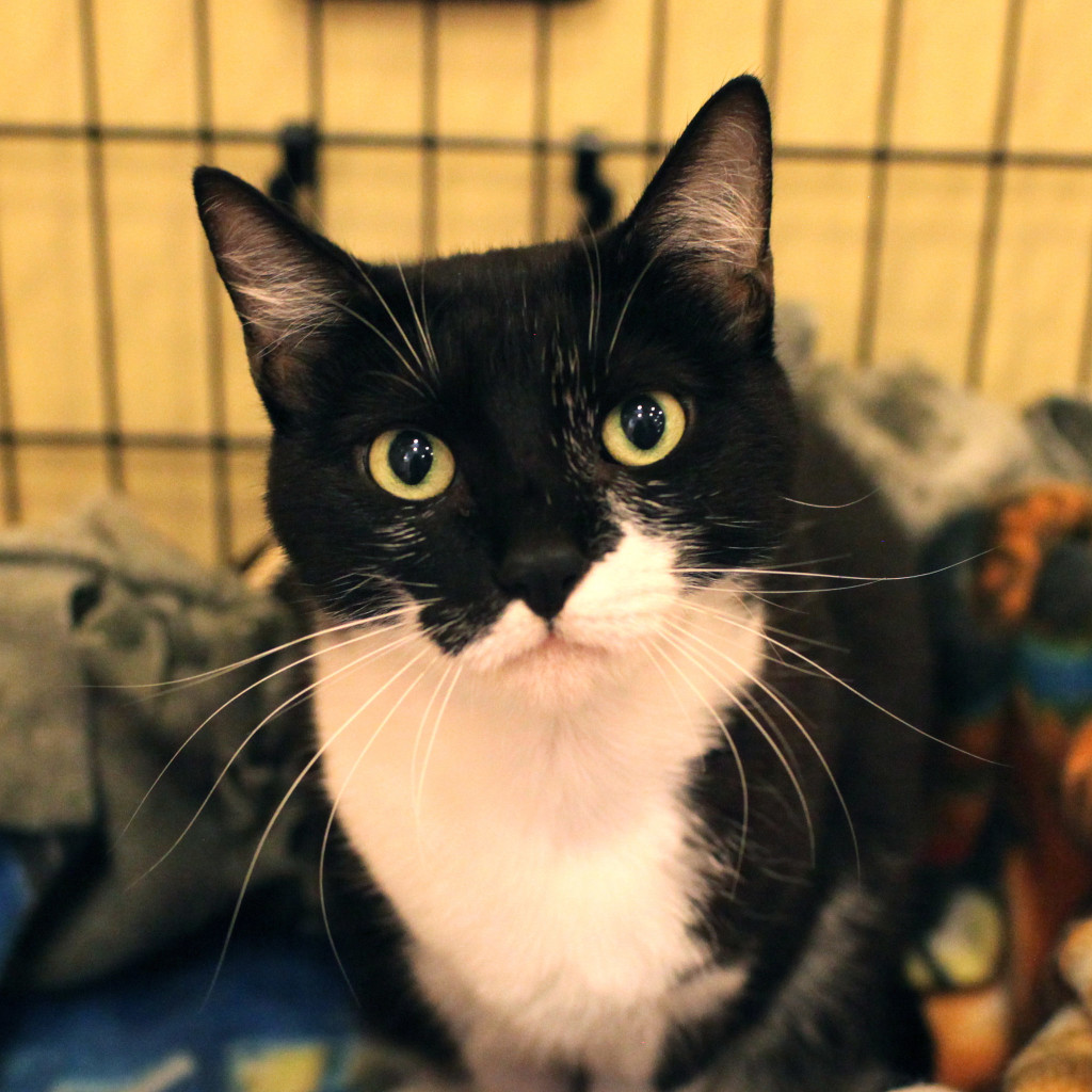 "Are YOU going to donate to the Linda Fund?" - Divya.