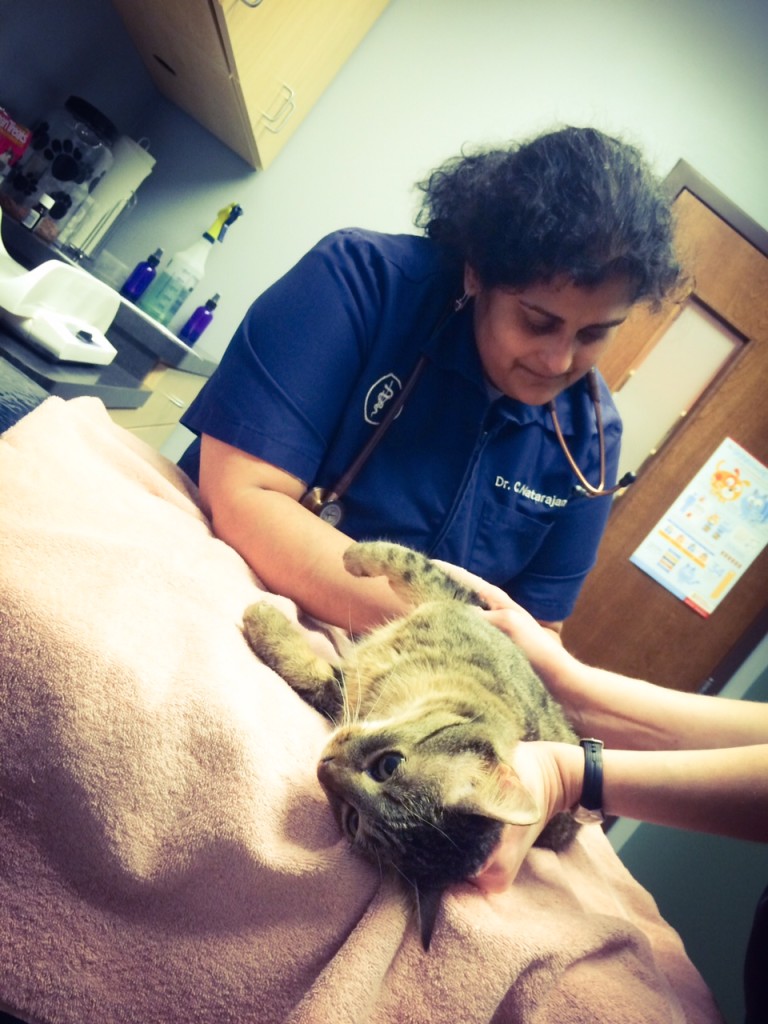 Note the doctor's keen interest in my stump.