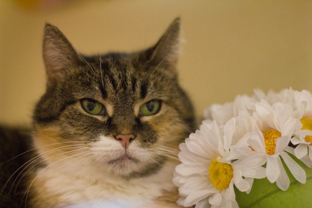 Tabitha feels NOTHING for flowers. Nothing. 