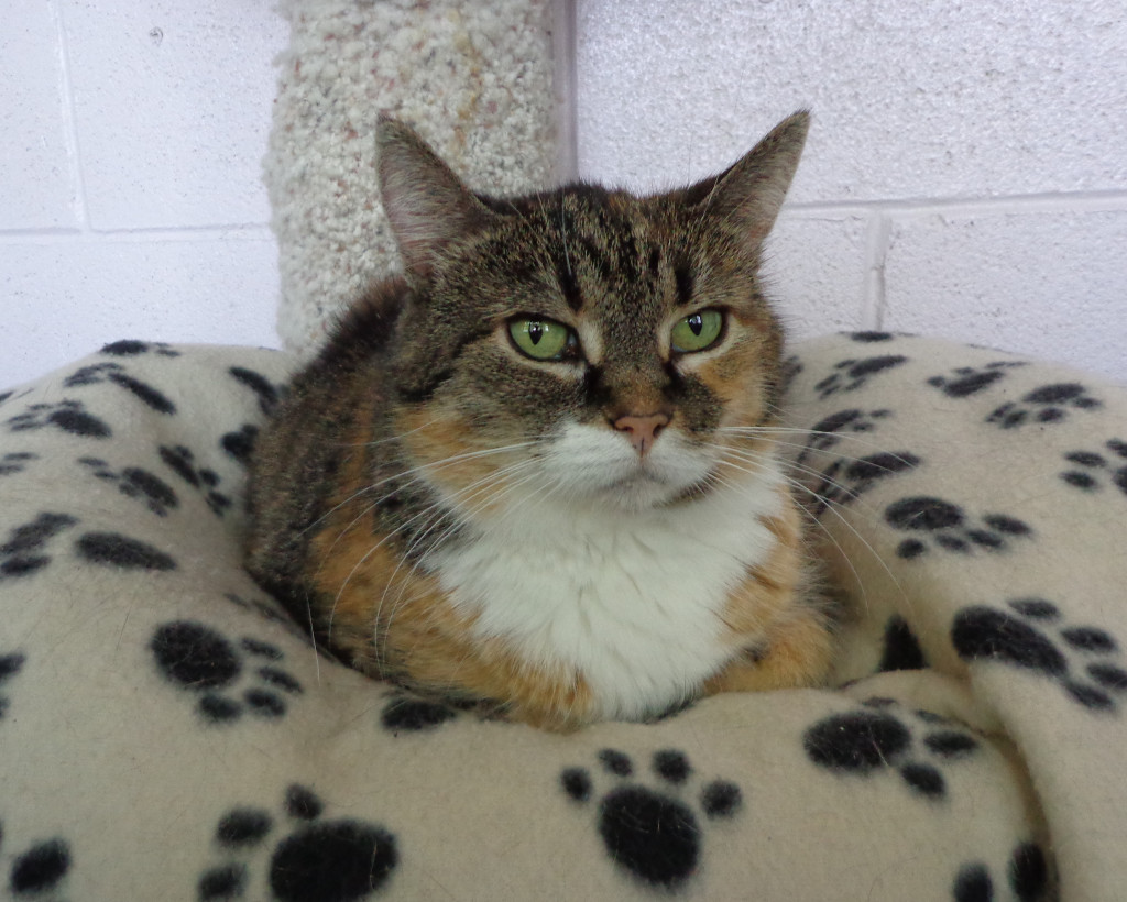 She can see you...but she doesn't want to hear you, Capisce?