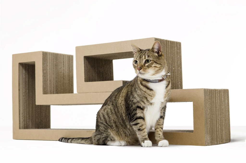 This sporty young fellow enjoys his Katris simple.