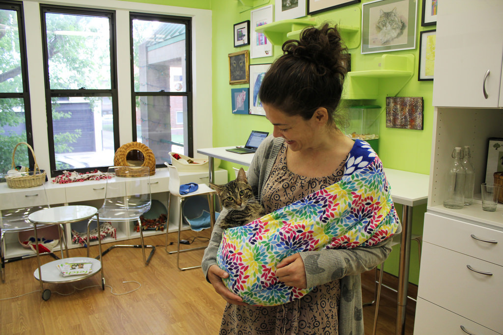 Enjoying a more passive method of transport. 