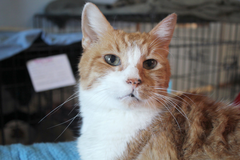 "Is that a ribbon? I love ribbons." - Bennifur.