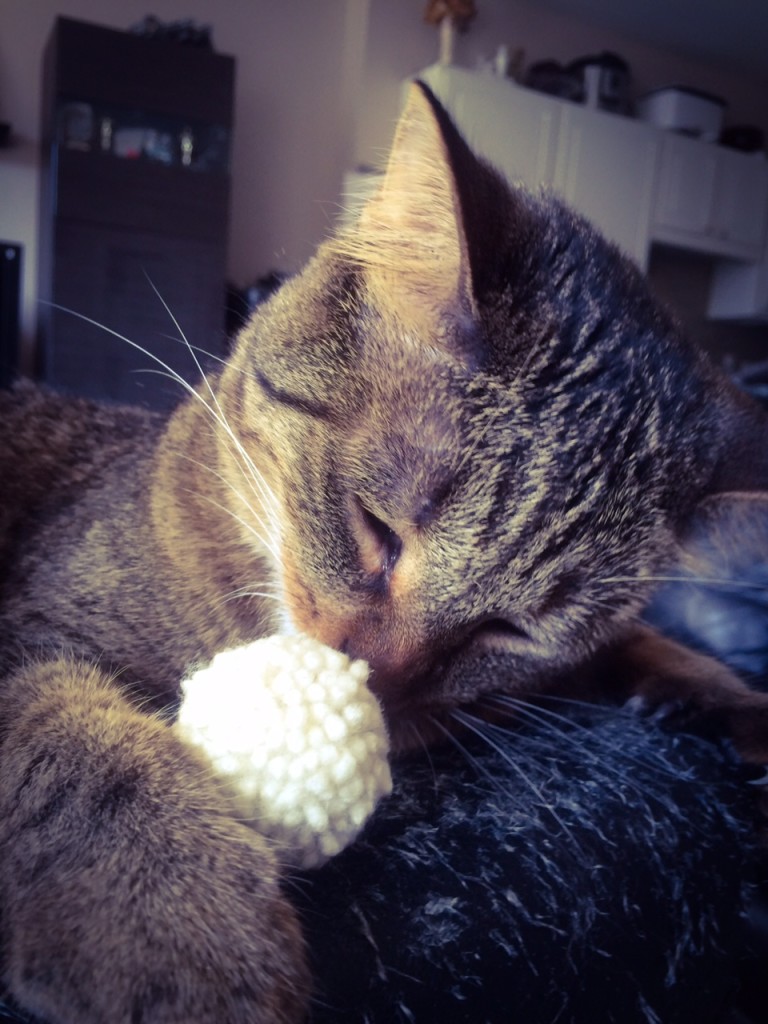Me taking a real big sniff of sheep ball. Ahhh. 