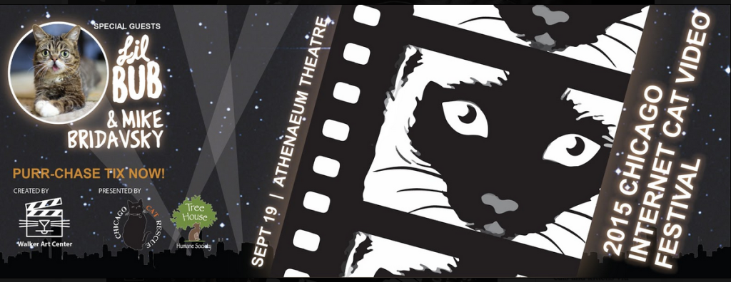 Screen Shot 2015-09-15 at 11.41.45 AM