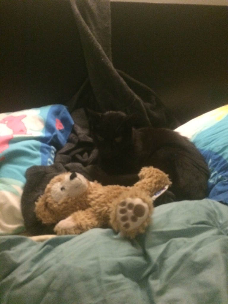 Niles found the bed immediately.