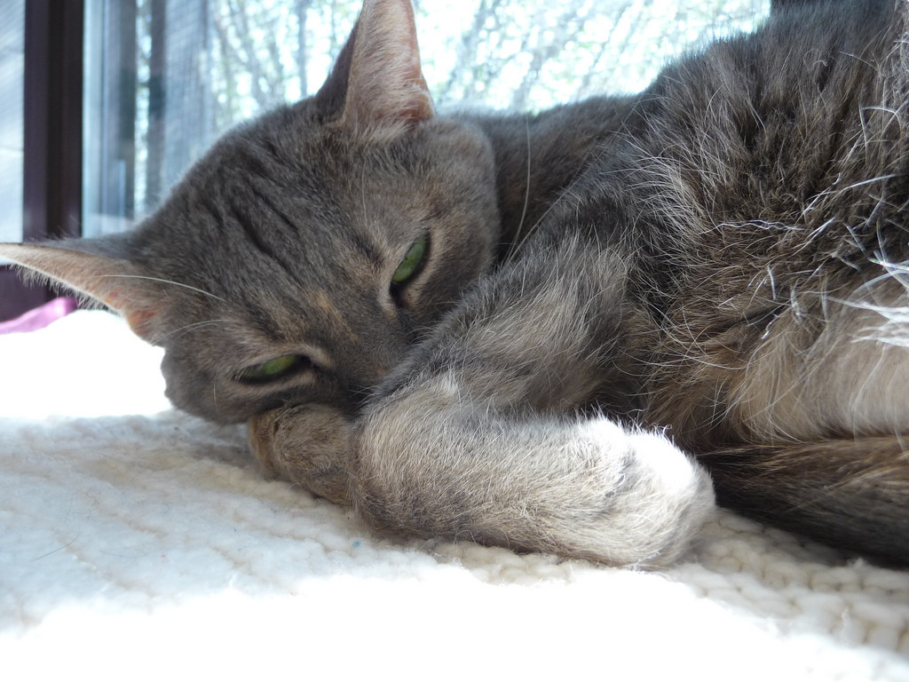 Wishing wishing wishing wishing...