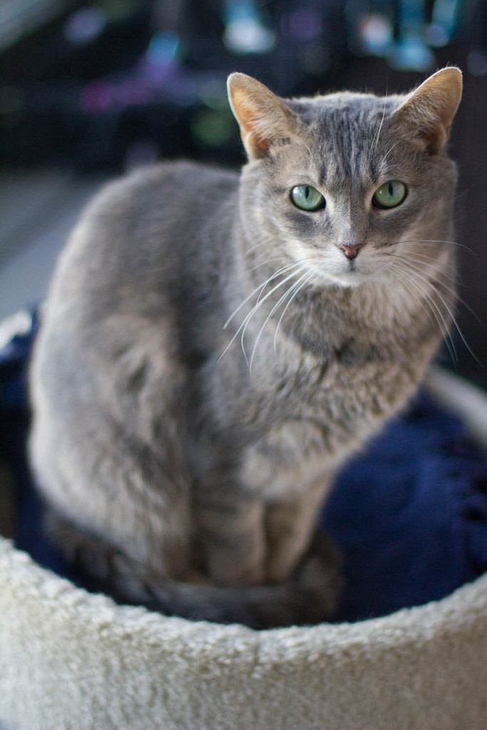 Tickles, the one and only.