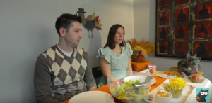 CATastrophes Web SEries Purrminator