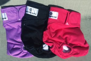 pet parents brand diapers